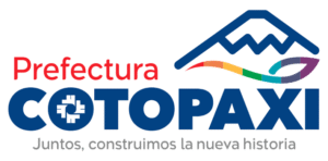 Proveedor 3